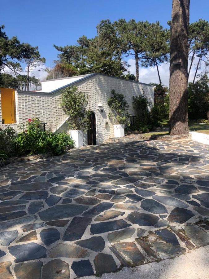 Ofir House Bonanca *