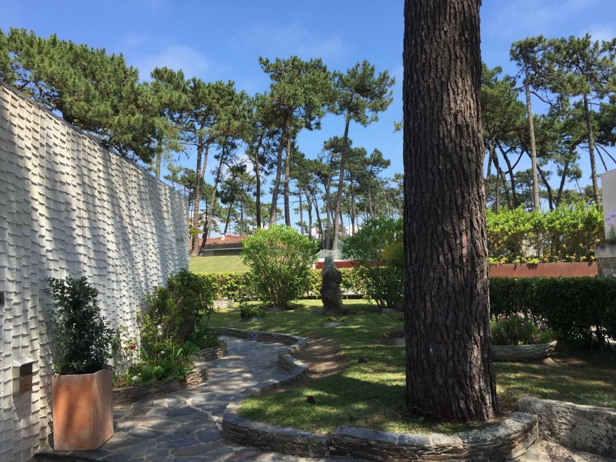 Ofir House Bonanca Holiday home